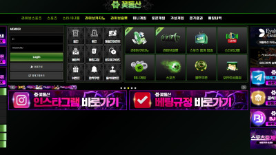 먹튀사이트 확인 [꽃동산, 보라카지노, 라비앙, USDT)