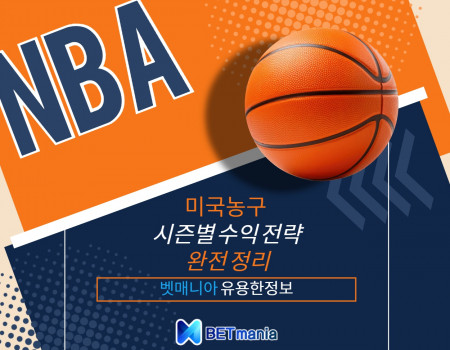 NBA 시즌별 수익 전략 완전 정리