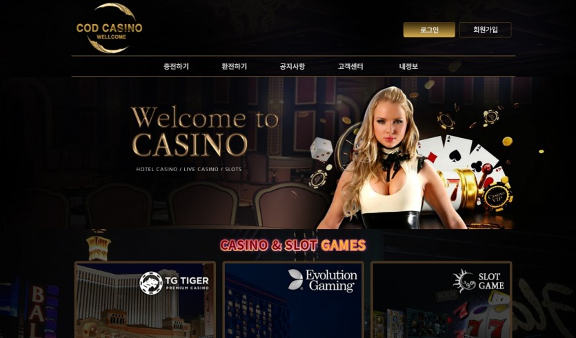 코드카지노 먹튀검증 주소 도메인