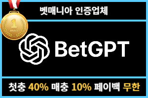 벳지피티 주소 도메인