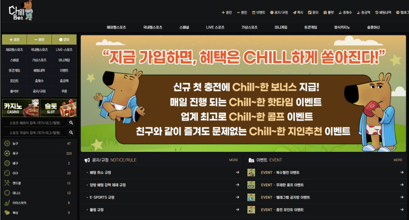 칠벳 도메인 추천인