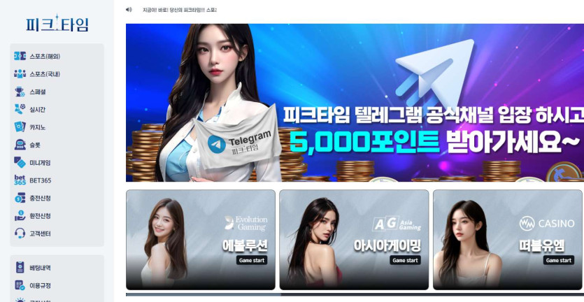 피크타임 도메인 추천인