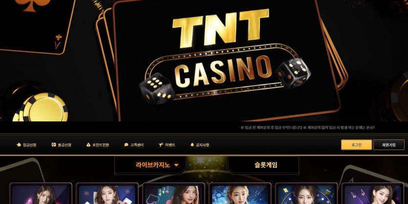 TNT 도메인 추천인 카지노