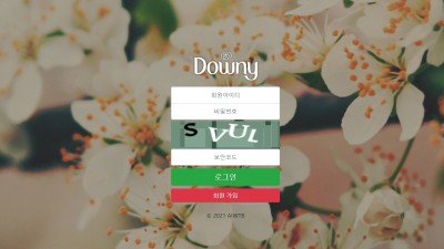 토토사이트 다우니(DOWNY)