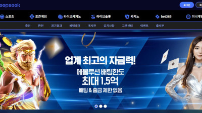 딥시크(DEEPSEEK) 토토 주소