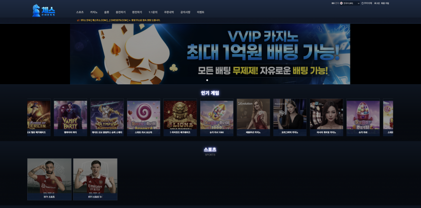 체스 CHESS 주소 도메인