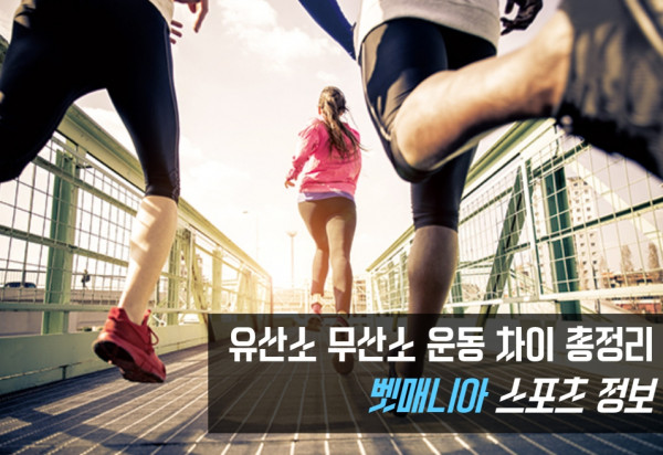유산소 무산소 운동