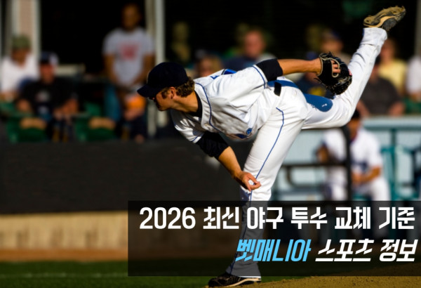 야구 투수