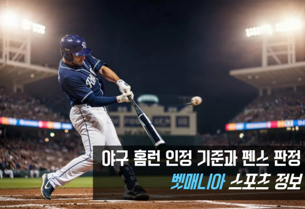 야구 홈런