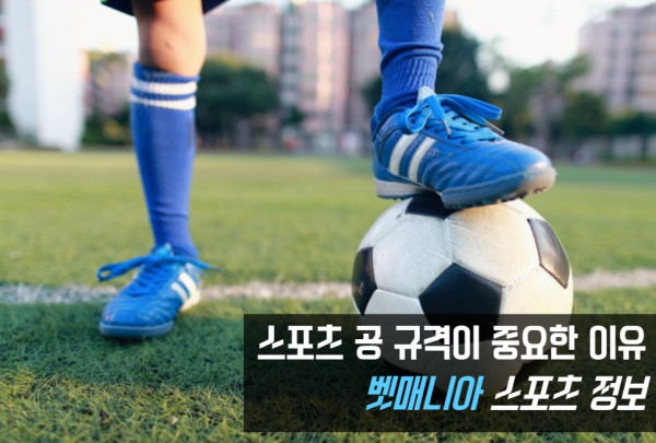 스포츠 공