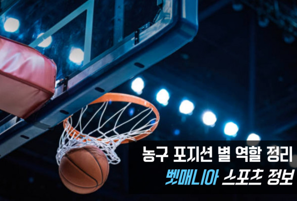 농구 포지션