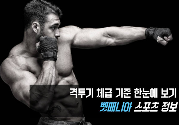 격투기 체급 기준